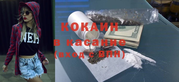 сатива Нягань