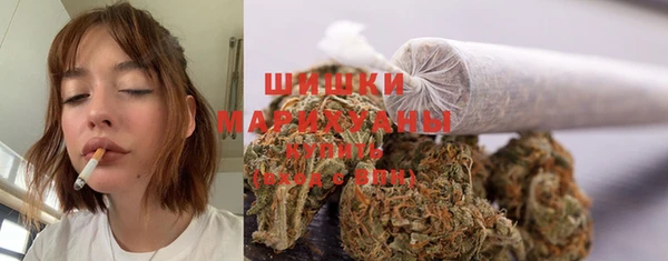 сатива Нягань