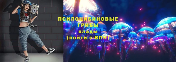сатива Нягань