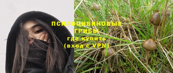 сатива Нягань