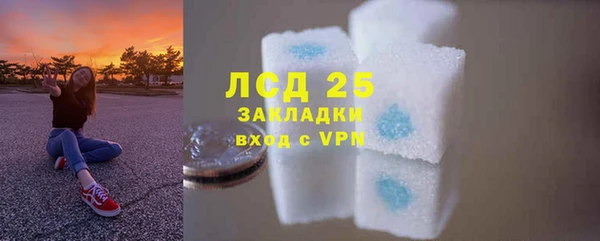 сатива Костерёво