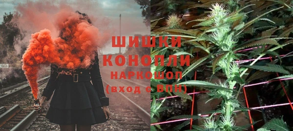 сатива Нягань