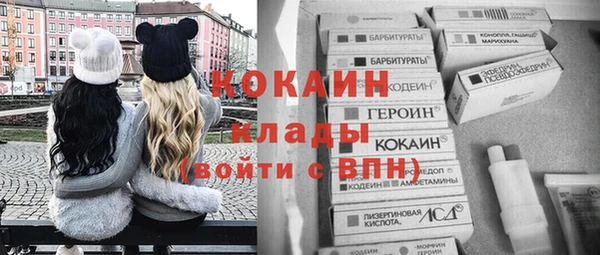 сатива Нягань