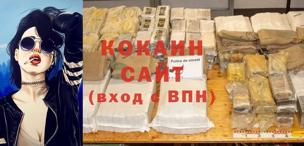 сатива Нягань